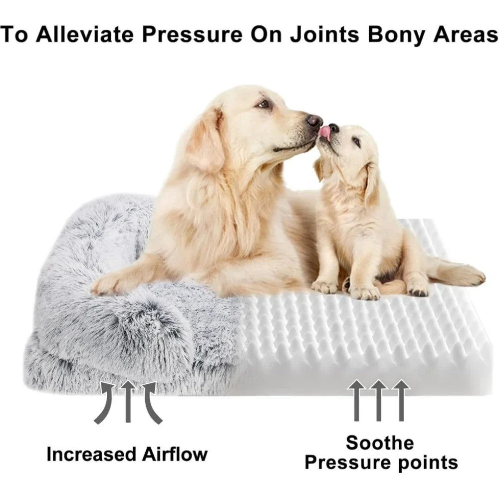 Reyox Orthopedic Dog Beds for Large Dogs,43 x 28 inch Fluffy Large Dog Bed with Removable Washable Cover,Non-Slip Bottom and Egg-Crate Foam Big Dog Couch Bed