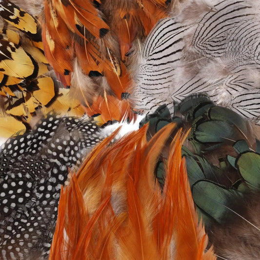 180PCS Assorted Feathers, 6 Styles Natural Chicken Feathers for DIY Crafts Earring Wings Dream Catcher Carnival Party Decoration