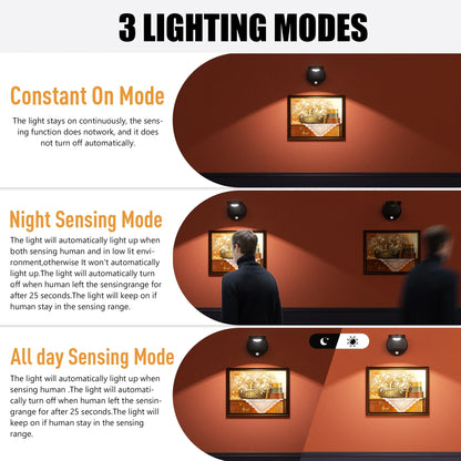 DAYBETTER LED Motion Sensor Picture Lights Battery Operated, 360 Degree Rotatable, 3 Color Temperature, for Bedroom, Painting (1Pack-Black)