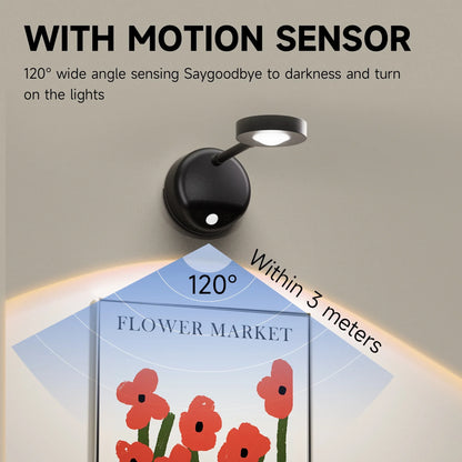 DAYBETTER LED Motion Sensor Picture Lights Battery Operated, 360 Degree Rotatable, 3 Color Temperature, for Bedroom, Painting (1Pack-Black)