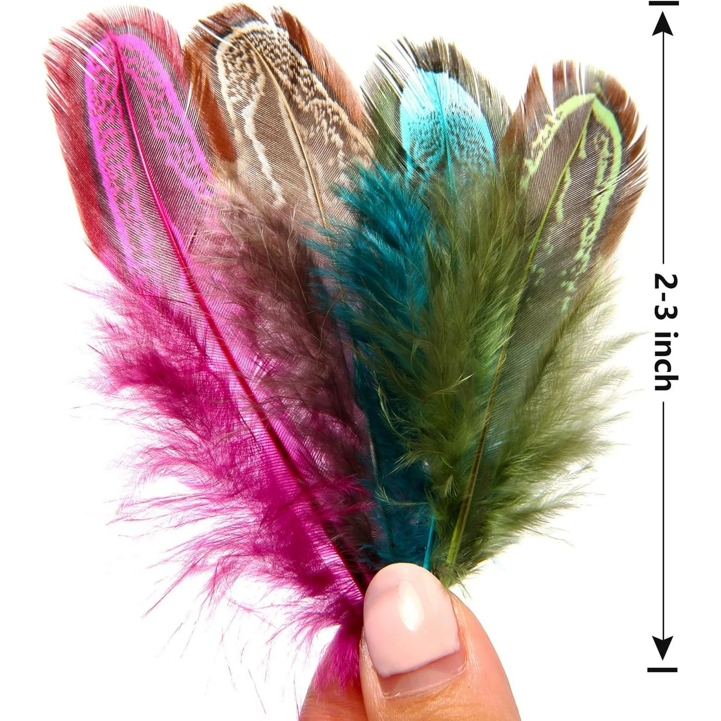 180PCS Colored Feathers 2-3 in, 9 Colors Pheasant Feathers for DIY Crafts Dream Catcher Art Earrings Carnival Costumes Wedding Party Decorations