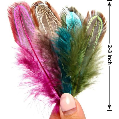 180PCS Colored Feathers 2-3 in, 9 Colors Pheasant Feathers for DIY Crafts Dream Catcher Art Earrings Carnival Costumes Wedding Party Decorations